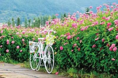 抚仙湖+弥勒康养双动10日游